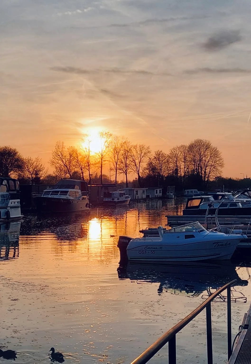 The harbour at sunset